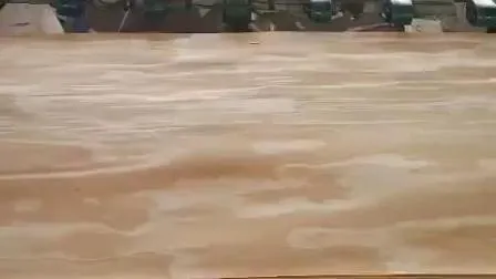 High Quality Radiata Pine Veneer 0.5mm 0.7mm 0.8mm for Plywood Face Use 