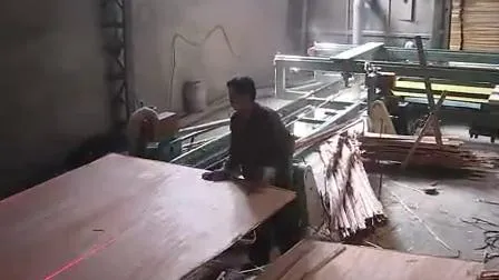 Low Price Door Skin Size 910mmx2150mm Plywood of 3.2mm 